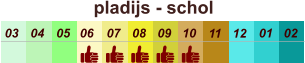 pladijs - schol  01 02 03 04 07 05 09 10 08 11 12 06