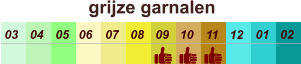 01 02 03 04 07 05 09 10 08 11 12 06 grijze garnalen