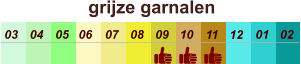 01 02 03 04 07 05 09 10 08 11 12 06 grijze garnalen