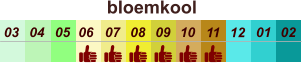 bloemkool  01 02 03 04 07 05 09 10 08 11 12 06