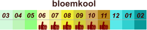 bloemkool  01 02 03 04 07 05 09 10 08 11 12 06