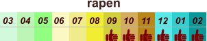 rapen  01 02 03 04 07 05 09 10 08 11 12 06