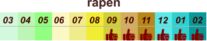 rapen  01 02 03 04 07 05 09 10 08 11 12 06