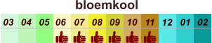 bloemkool  01 02 03 04 07 05 09 10 08 11 12 06