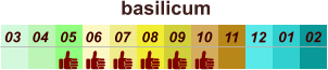 01 02 03 04 07 05 09 10 08 11 12 06 basilicum