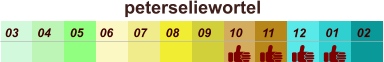 peterseliewortel  01 02 03 04 07 05 09 10 08 11 12 06