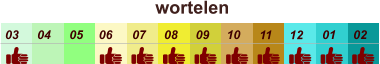 01 02 03 04 07 05 09 10 08 11 12 06 wortelen