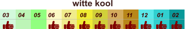 01 02 03 04 07 05 09 10 08 11 12 06 witte kool