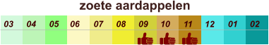zoete aardappelen  01 02 03 04 07 05 09 10 08 11 12 06