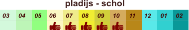 pladijs - schol  01 02 03 04 07 05 09 10 08 11 12 06