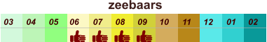 01 02 03 04 07 05 09 10 08 11 12 06 zeebaars