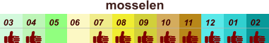 01 02 03 04 07 05 09 10 08 11 12 06 mosselen