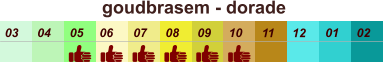 goudbrasem - dorade  01 02 03 04 07 05 09 10 08 11 12 06
