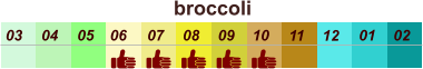 01 02 03 04 07 05 09 10 08 11 12 06 broccoli