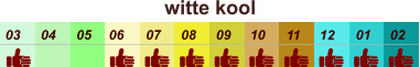 01 02 03 04 07 05 09 10 08 11 12 06 witte kool