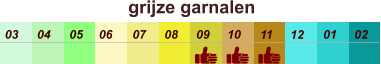 01 02 03 04 07 05 09 10 08 11 12 06 grijze garnalen