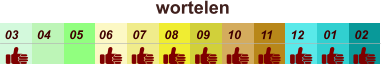 01 02 03 04 07 05 09 10 08 11 12 06 wortelen