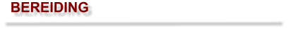 BEREIDING