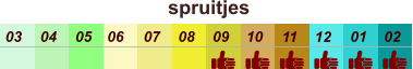 01 02 03 04 07 05 09 10 08 11 12 06 spruitjes