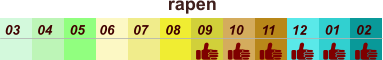 rapen  01 02 03 04 07 05 09 10 08 11 12 06