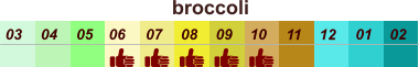 01 02 03 04 07 05 09 10 08 11 12 06 broccoli
