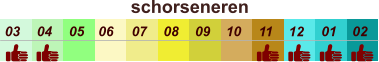 01 02 03 04 07 05 09 10 08 11 12 06 schorseneren