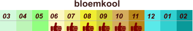 bloemkool  01 02 03 04 07 05 09 10 08 11 12 06