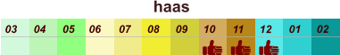 haas  01 02 03 04 07 05 09 10 08 11 12 06