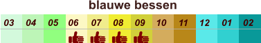 blauwe bessen  01 02 03 04 07 05 09 10 08 11 12 06