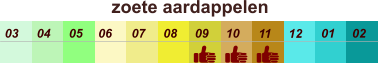 zoete aardappelen  01 02 03 04 07 05 09 10 08 11 12 06
