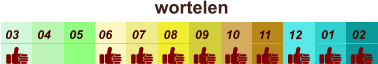 01 02 03 04 07 05 09 10 08 11 12 06 wortelen