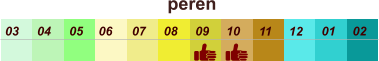 01 02 03 04 07 05 09 10 08 11 12 06 peren