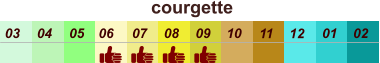 courgette  01 02 03 04 07 05 09 10 08 11 12 06