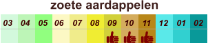 zoete aardappelen  01 02 03 04 07 05 09 10 08 11 12 06
