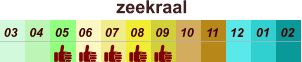 zeekraal  01 02 03 04 07 05 09 10 08 11 12 06