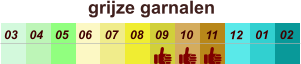 01 02 03 04 07 05 09 10 08 11 12 06 grijze garnalen