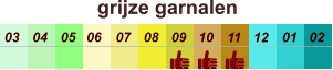 01 02 03 04 07 05 09 10 08 11 12 06 grijze garnalen