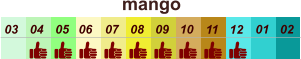 mango  01 02 03 04 07 05 09 10 08 11 12 06