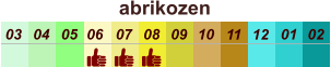 01 02 03 04 07 05 09 10 08 11 12 06 abrikozen