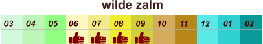 01 02 03 04 07 05 09 10 08 11 12 06 wilde zalm
