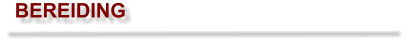 BEREIDING