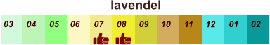 01 02 03 04 07 05 09 10 08 11 12 06 lavendel