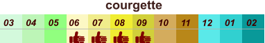 courgette  01 02 03 04 07 05 09 10 08 11 12 06