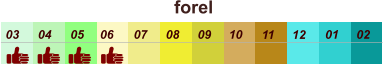 01 02 03 04 07 05 09 10 08 11 12 06 forel