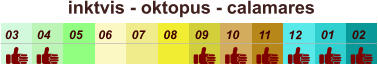01 02 03 04 07 05 09 10 08 11 12 06 inktvis - oktopus - calamares