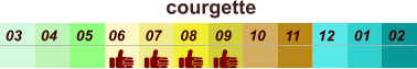 courgette  01 02 03 04 07 05 09 10 08 11 12 06