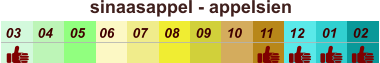 sinaasappel - appelsien  01 02 03 04 07 05 09 10 08 11 12 06