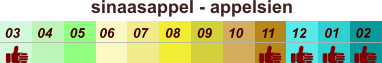 sinaasappel - appelsien  01 02 03 04 07 05 09 10 08 11 12 06