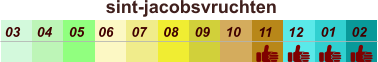 sint-jacobsvruchten  01 02 03 04 07 05 09 10 08 11 12 06