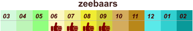 01 02 03 04 07 05 09 10 08 11 12 06 zeebaars